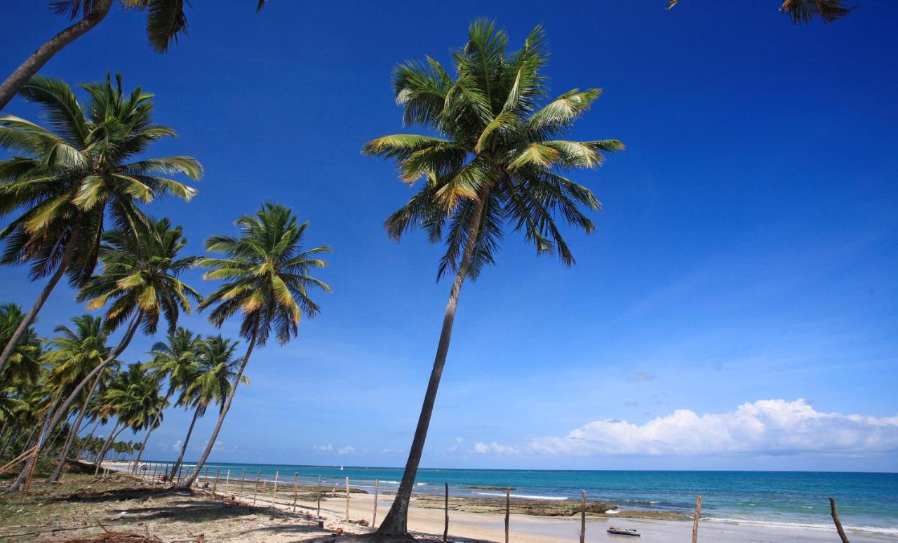 Flat Super Luxo Carneiros Beach Resort Tamandaré المظهر الخارجي الصورة